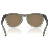 Oakley Frogskins