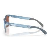 Oakley Frogskins