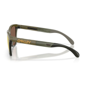 Oakley Frogskins