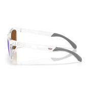 Oakley Frogskins