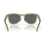 Oakley Frogskins