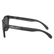 Oakley Frogskins