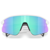 Oakley Stunt Devil