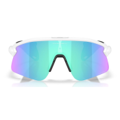 Oakley Stunt Devil