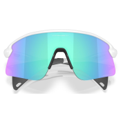 Oakley Stunt Devil