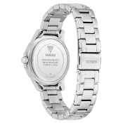 Guess Mist