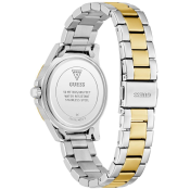 Guess Mist