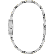Guess Siren