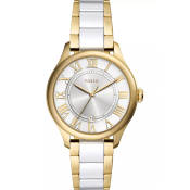 Fossil Gilmore