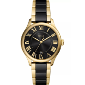 Fossil Gilmore