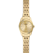 Fossil Scarlette