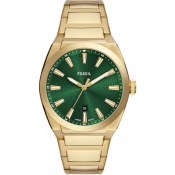 Fossil Everett