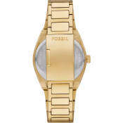 Fossil Everett