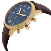 Fossil Neutra