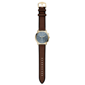 Fossil Neutra