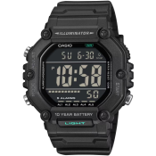 Casio Timeless