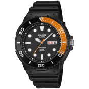 Casio Timeless