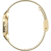 Timex Transcend