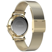 Timex Transcend