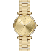 Fossil Carlie
