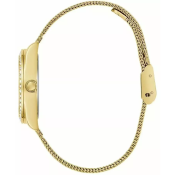Guess Calaverta