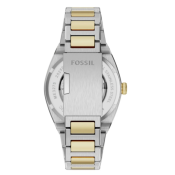 Fossil Everett