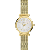 Fossil Carlie