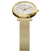 Fossil Carlie