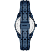 Fossil Scarlette