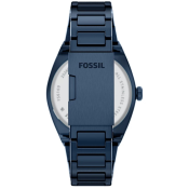 Fossil Everett
