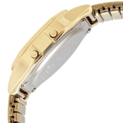 Timex Classic