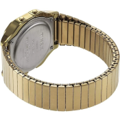 Timex Classic