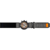 Invicta Coalition Forces