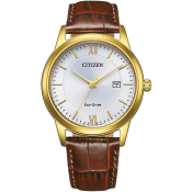 Citizen Classic