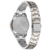 Citizen Elegant