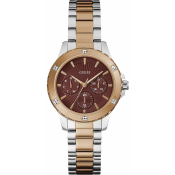 Guess Mist