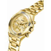 Guess Equity