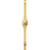 Casio Vintage