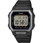 Casio Timeless