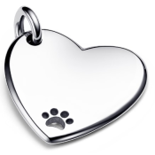 Colgante Pandora Moments