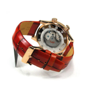 Vostok Gaz-14 Limousine