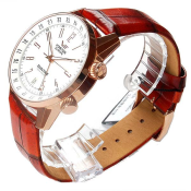 Vostok Gaz-14 Limousine