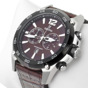 Festina Timeless Chronograph