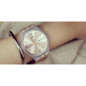 Swatch Rostfrei L