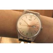 Swatch Rostfrei L