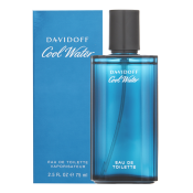 Davidoff Cool Water Man toaletní voda pro muže 75 ml