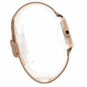 Daniel Wellington Classic Petite