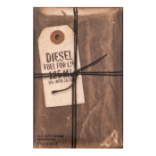 Diesel Fuel for Life Homme toaletní voda pro muže 125 ml