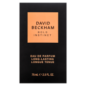 David Beckham Bold Instinct parfumirana voda za moške 75 ml