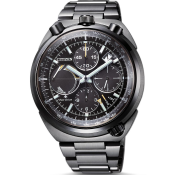 Citizen Promaster